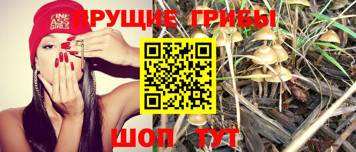 Псилоцибиновые грибы мицелий Советск