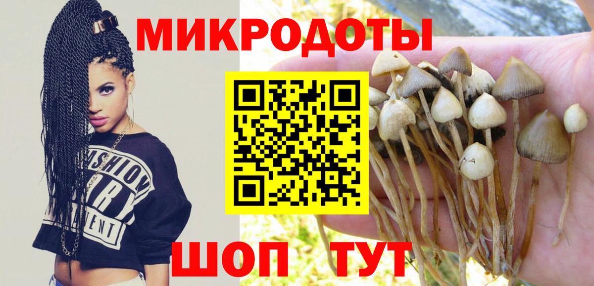 Советск  Псилоцибиновые грибы Psilocybe  Вход с VPN  Псилоцибиновые грибы Magic Shrooms 